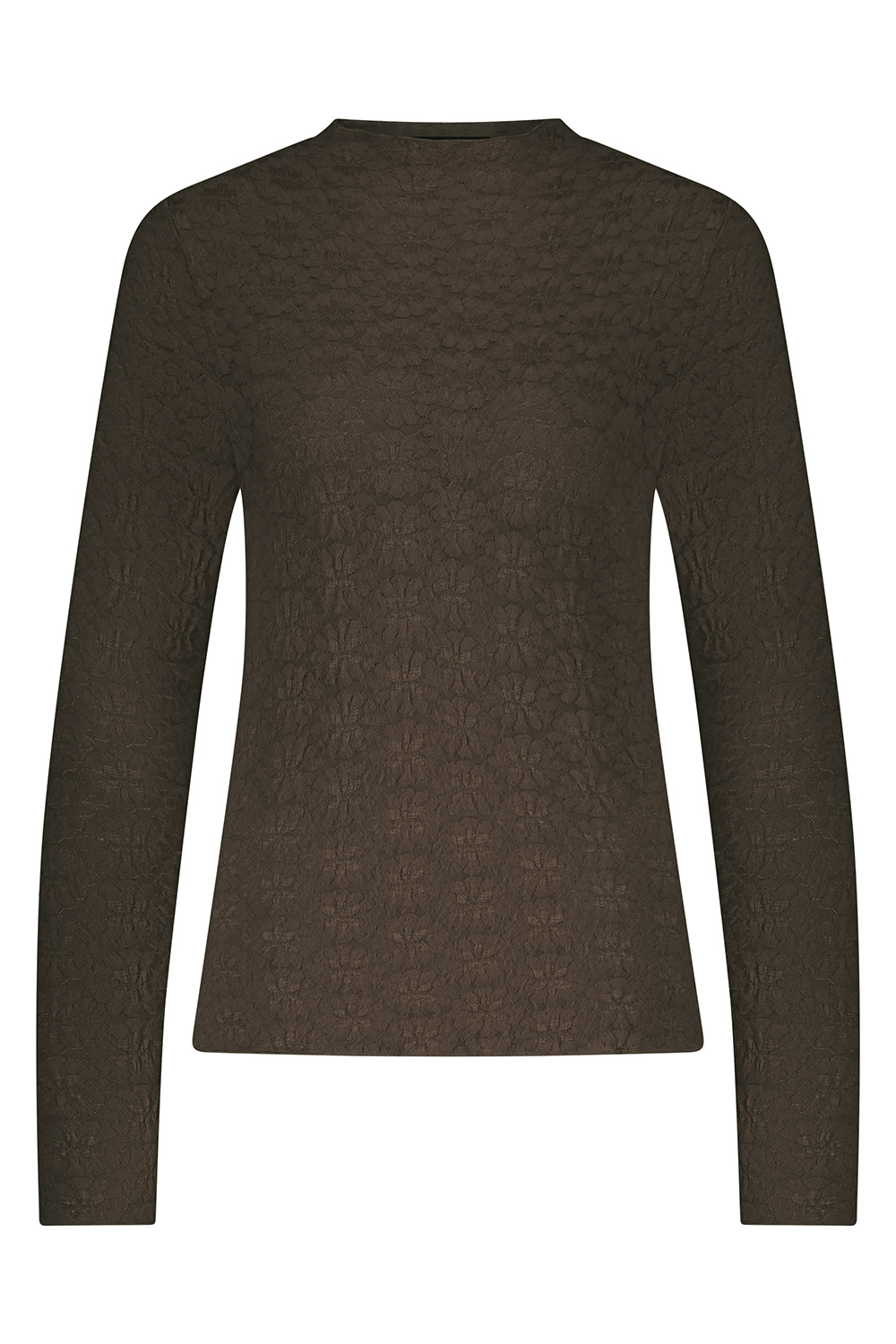 Brushed Stretch Lace Top