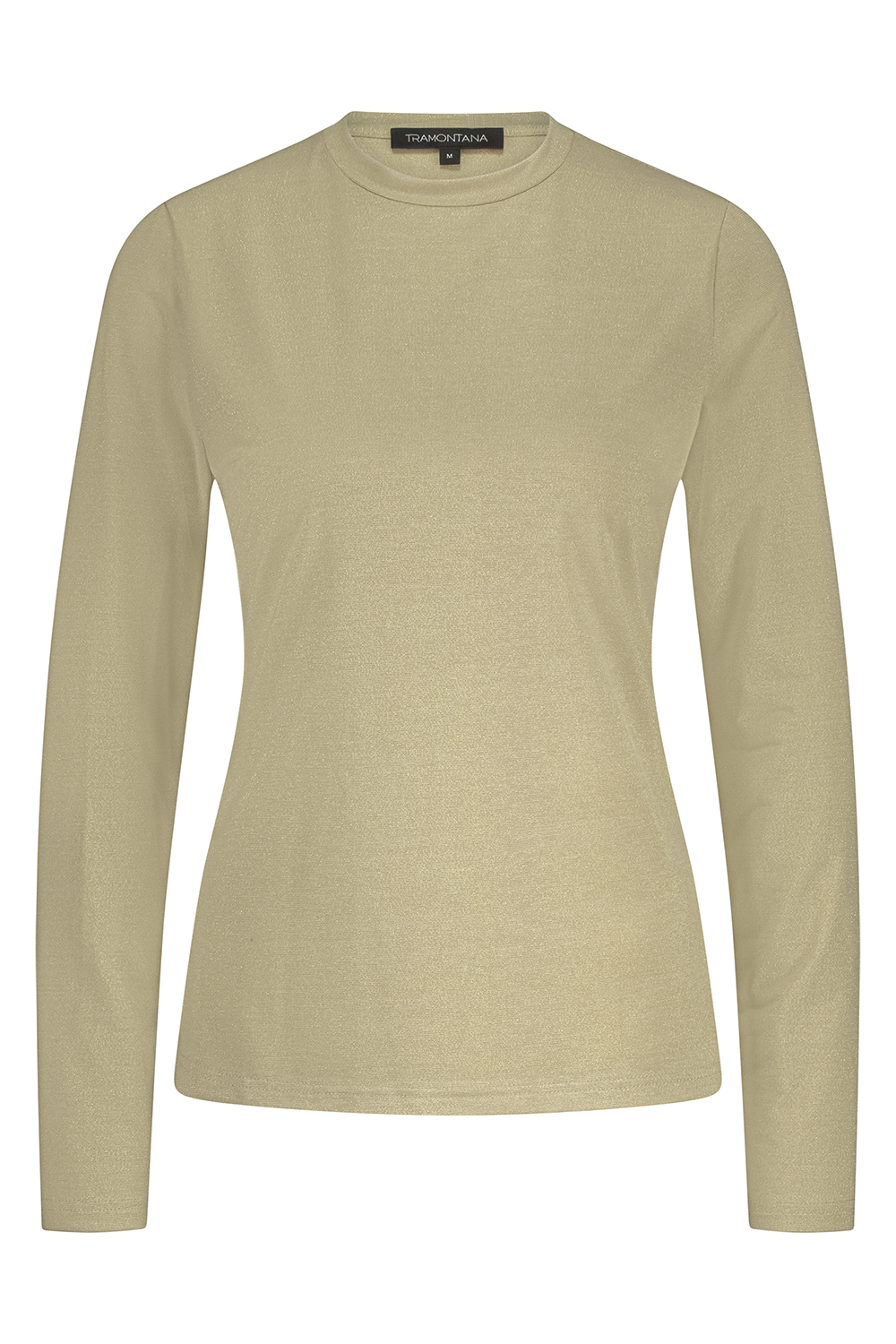 Mock Neck Glitter Top