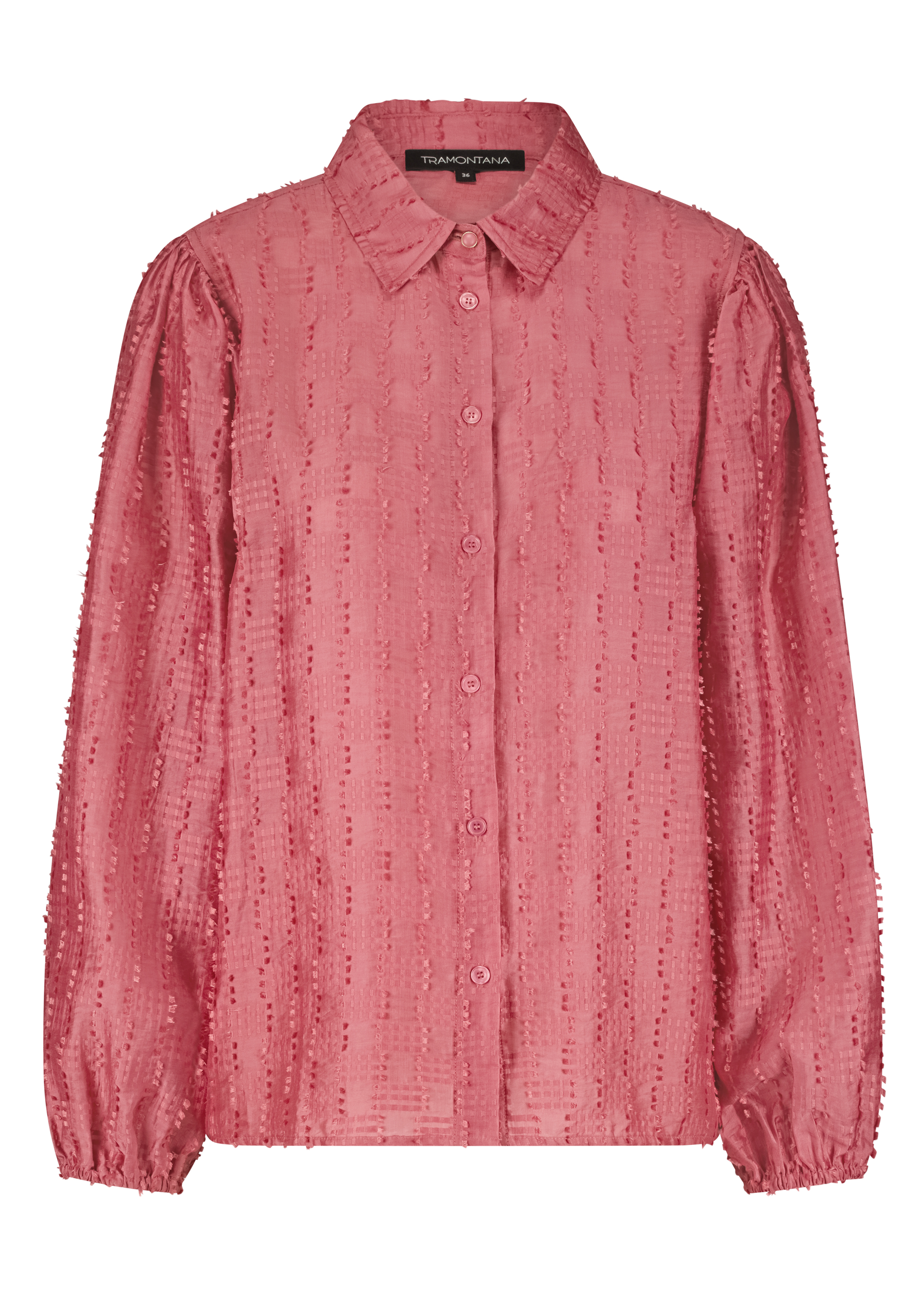 Fancy Embroidered Blouse