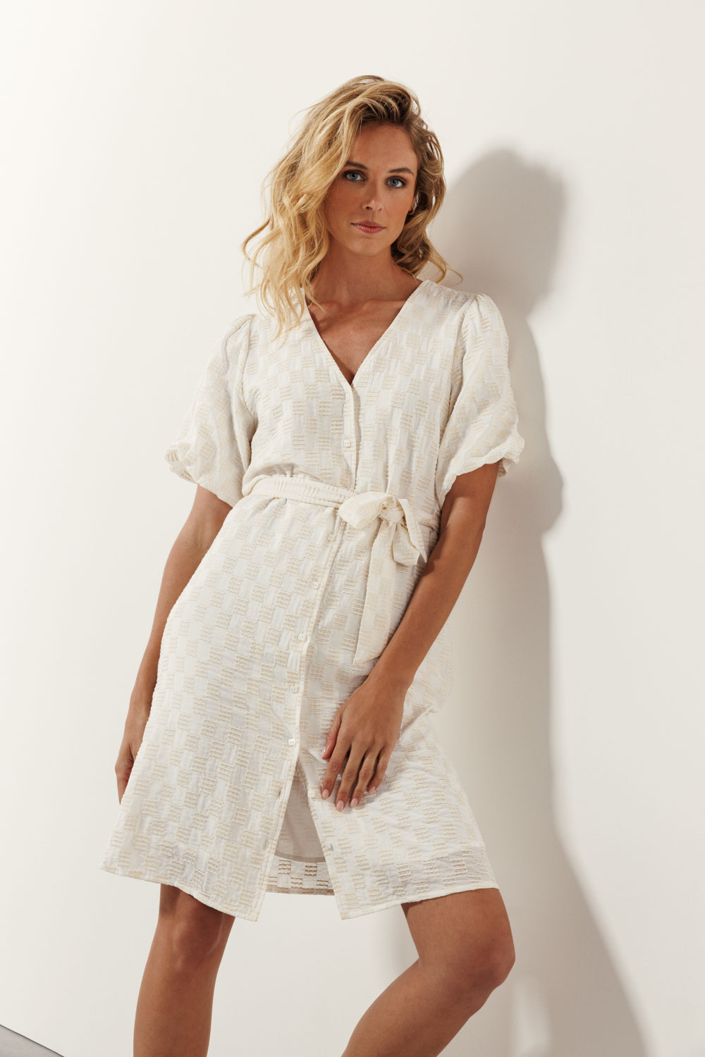 Checked Embroidery Dress