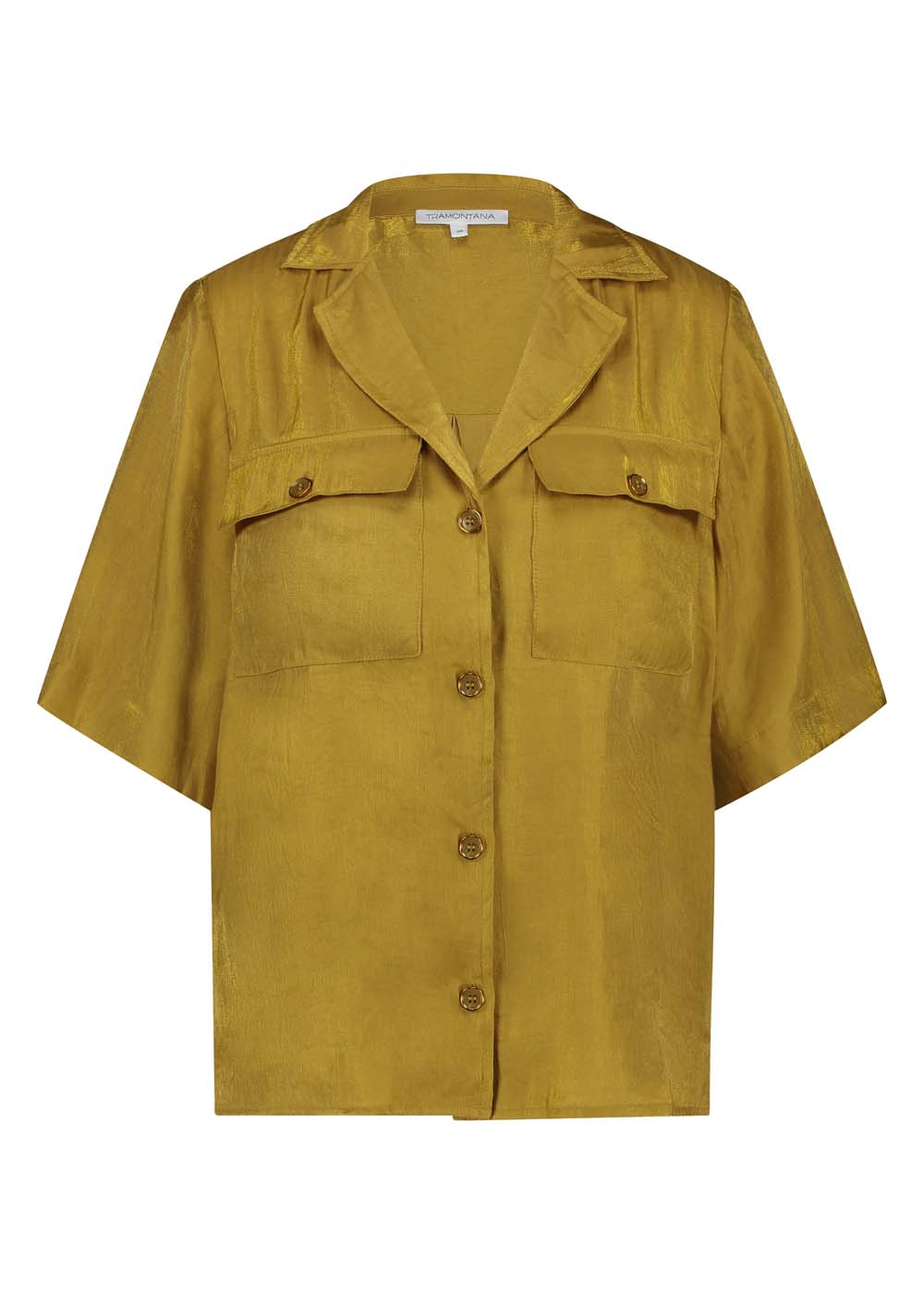 Shimmer Blouse Shimmer Blouse